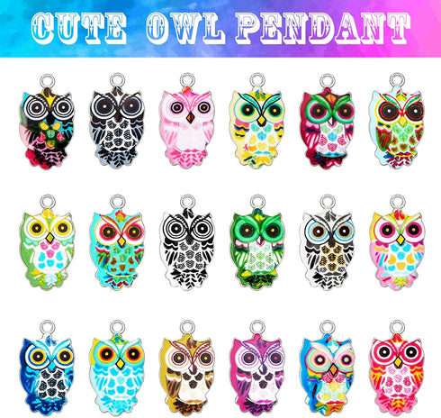 WILLBOND 18 Pieces Enamel Owl Charms Pendant Mixed Owl DIY Charm Jewelry Making Crafting Accessories for Necklace Bracelet Earring, 18 Colors...