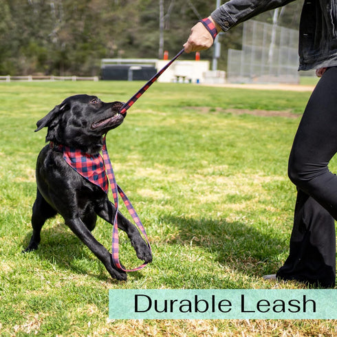 Ultra Joys Dog Leash with Dog Poop Bag Dispenser - Heavy Duty Cotton Fabric Pet Leash with Metal Clasps - Blue Daisy 5ft Dog Leash and Dog Waste B...