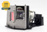 BL-FP300A/SP.85Y01G.C01 Projector Replacement Lamp with Housing for OPTOMA EP780 / EP781 / TX780...