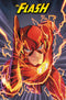 Trends International The Flash Speed Wall Poster 22.375" x 34"...