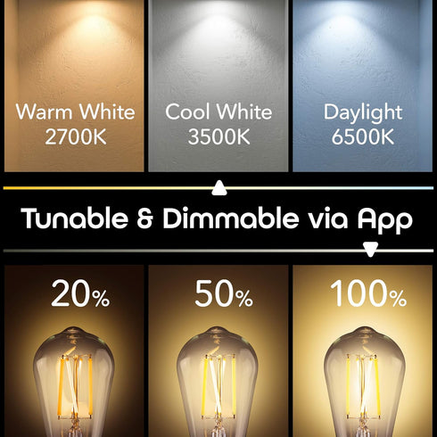 Geeni Smart Light Bulb - Alexa and Google Home Compatible, Tunable White LED Programmable and Dimmable WiFi Light Bulb, App Controlled (ST19-2 Pac...