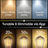 Geeni Smart Light Bulb - Alexa and Google Home Compatible, Tunable White LED Programmable and Dimmable WiFi Light Bulb, App Controlled (ST19-2 Pac...
