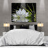 Canvas Wall Art - White Lotus and Black Zen Stones Picture - Modern Wall Decor Gallery Canvas Wraps Giclee Print Stretched and Framed Ready to Han...