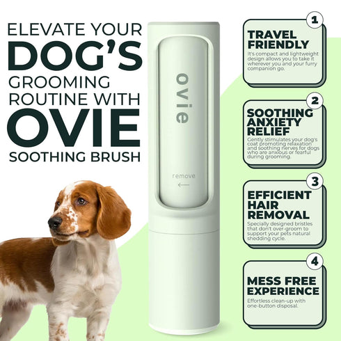 Soothing Dog Brush - Anxiety Relief Grooming Brush - Self Cleaning Calming Slicker Brush for Grooming Pets - Brushes for Long Short Haired Dogs - ...