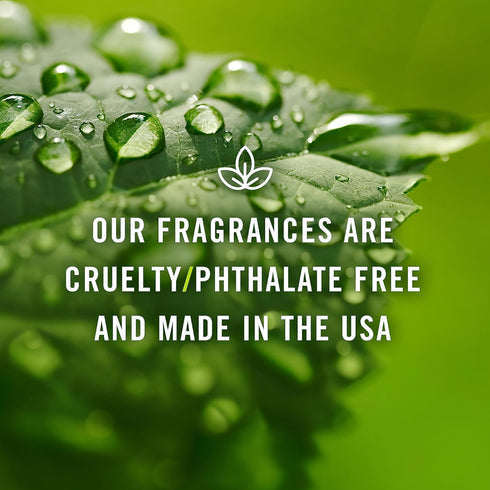 P&J Trading Fragrance Oil | Bamboo Oil 30ml - Candle Scents for Candle Making, Freshie Scents, Soap Making Supplies, Diffuser Oil Scents...