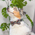 Huxley & Kent Bow Tie for Pets | Creepy Candy (Large) | Halloween Hook & Loop Bow Tie Collar Attachment | Fun Bow Ties for Dogs & Cats | Cute, Com...