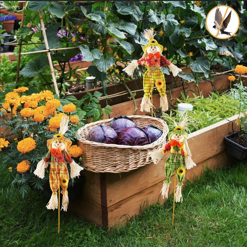 IFOYO 3 Pack Fall Harvest Scarecrow Decorations 15.75 Inch Scarecrows for Garden, Home, Yard, Porch, Thanksgiving Decor...