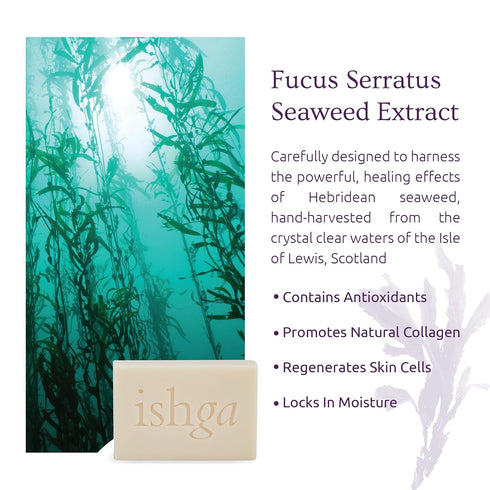 Ishga Seaweed Infused Shampoo & Body Bar | Natural & Organic Skincare | Scottish Seaweed | Lemongrass, Rose Geranium, Lavender, Juniper Berry | SL...