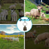 5 Pack Reflective Goat Collars with Bells, Cow Horse Sheep Grazing Copper Bells and Adjustable Nylon Collar Set Pet Anti-Lost Loud Bronze Bell for...