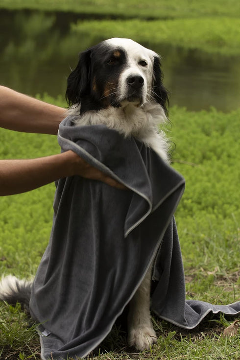 oyapet® Dog Towel Super Absorbent Large Microfiber Towel Dog Bath Towels for Drying Dogs Large (Dog Towels Pet Bath and Grooming- Grey - Large - 3...