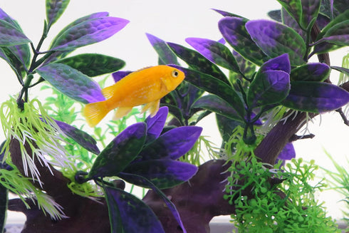AQUA KT Aquarium Landscape Simulation Artificial Plant Purple, Plastic Plant for Fish Tank Decoration, Aquatic Water Plant, Fish Bowl Ornament...
