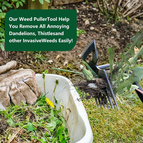 Weed Puller Tools Sharp Weeding Tool High Manganese Steel Grass Root Removal Tool with 5 Teethes Dual Purpose Hand Weeder Tool for Yard Garden Far...