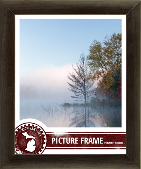 Craig Frames 232477781620N 1-Inch Wide Picture/Poster Frame in Smooth Wood Grain Finish, 16 by 20-Inch, Brazilian Walnut...