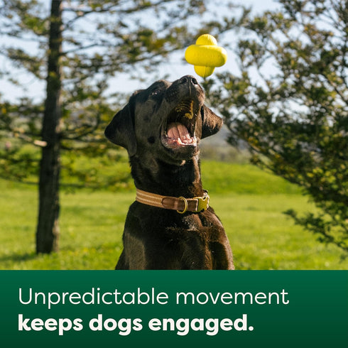 Earth Rated Dog Ball, Interactive Fetch Toy for Small, Medium, and Large Breeds, Comes in Multiple Sizes, Made with Natural Rubber, Perfect for In...