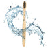 24 Count I Bamboo Toothbrush I Soft Bristles Best for Sensitive Gums I Charcoal I Vegan I Natural Wood I BPA Fee I Recyclable I Compostable I Biod...