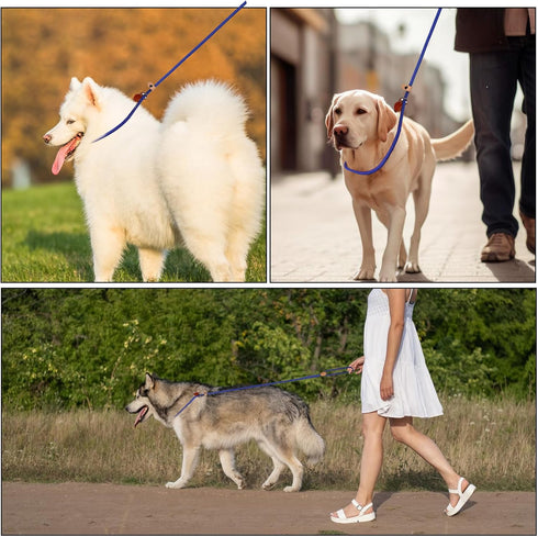 5 Ft Puppy Dog Leash Slip Leads for Small Dogs, Slip Leash for Puppy Training, No Pull Control Leash for Small Dogs Pet Leash Rope for Small Mediu...