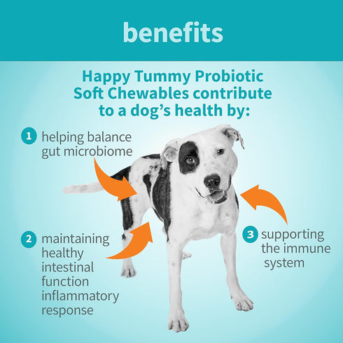 Happy Tummy Probiotic for Dogs Soft Chewables, 5.3 oz - Digestive Support, Immune System, Gut Health...