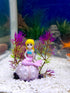 Fish Tank Conch Decorations, Aquarium Plants Decoration Seashell Coral Ornaments...