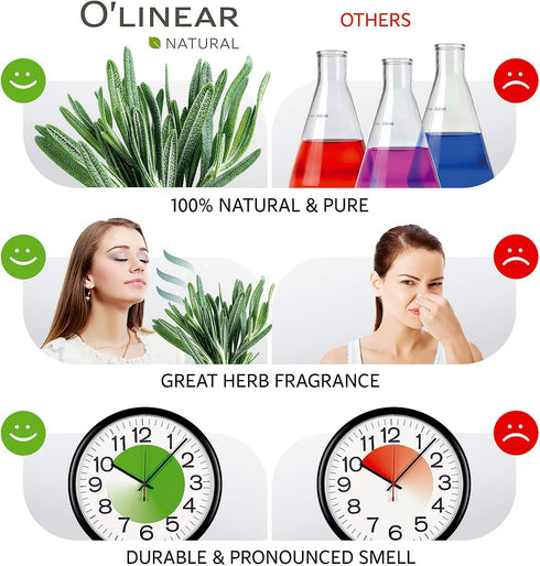 O'linear Rosemary Essential Oil 10 ml - Pure Rosemary Oil for Diffuser for Home Aromatherapy - 0.33 Fl Oz Therapeutic Grade Natural Rosemary Oil f...