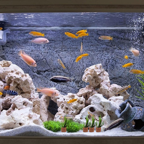 Totority Aquarium Plant Anchors 30pcs Aquatic Fixed Ring Water Plant Fixed Ring Aquarium Plant Holder Pottery Gravity Ring Fish Tank Grass Ring Aq...