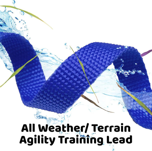 Downtown Pet Supply - Long Dog Leash - Dog Training Leash - Recall & Obedience Dog Training Tools - Nylon - 75 ft - Blue Dog Leash...