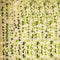 KASZOO 84Ft 12 Pack Artificial Ivy Garland Fake Plants, Vine Hanging Garland with CE Certified 80 LED String Light, Hanging for Home Bedroom Garde...