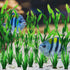 Artificial Aquarium Plants, 16pcs Fish Tank Decor Green Plants Artificial Aquarium Decorations for Fish Tanks (Green)...