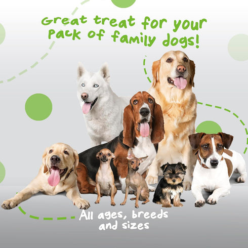 Dog Training Treats | Healthy Low Calorie Dog Treat | Vegan Dog Snacks | Small Dogs Medium Dogs Large Dogs | Mango Chia Spinach Coconut Coated | 1...