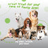 Dog Training Treats | Healthy Low Calorie Dog Treat | Vegan Dog Snacks | Small Dogs Medium Dogs Large Dogs | Mango Chia Spinach Coconut Coated | 1...