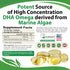 Algal Oil - Vegan DHA Omega 3 Fish Oil Supplements - Brain Booster,Supplement & Prenatal Vitamin -Provides Healthy Heart & Immune Support - Burple...