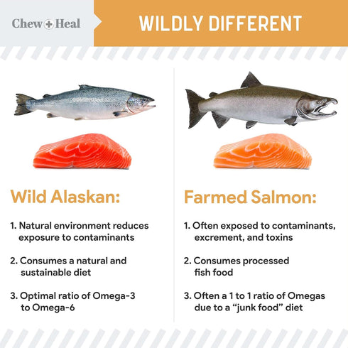 Chew + Heal Labs Omega Salmon Jerky Dog Treats - 5 oz of Soft Salmon Jerky for Skin and Coat - Made with Wild Alaskan Salmon, Flaxseed, Oat Flour,...