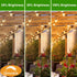 15 Pack Dimmable LED S14 Replacement Light Bulbs, Waterproof 1W Vintage Edison Bulbs for Outdoor Patio Garden String Lights, E26 Regular Medium Sc...