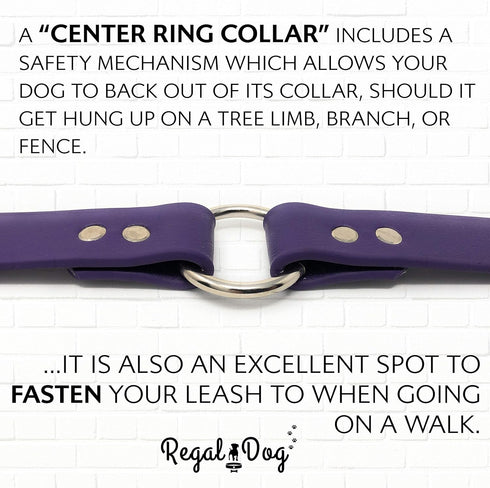 Regal Dog Products Small Purple Dog Collar with Heavy Duty Double Buckle & D Ring | Vinyl Coated, Custom Fit, Adjustable Biothane Dog Collar | Che...