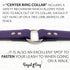 Regal Dog Products Small Purple Dog Collar with Heavy Duty Double Buckle & D Ring | Vinyl Coated, Custom Fit, Adjustable Biothane Dog Collar | Che...