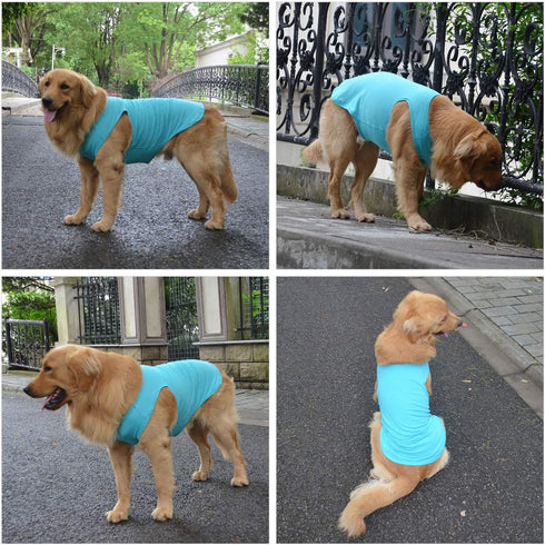 2018 Pet Clothes Dog Clothing Blank T-shirt Tanks Top Vests for Small Middle Large Size Dogs 100% Cotton Dog Summer Vest Classic (XXL, Turquoise)...