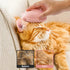 Cat Steam Brush Rechargeable Cat Brush Steamer for Shedding,Self-Cleaning Grooming Brush for Long &Short Haired Dogs and Cats,Remove and Clean Tan...