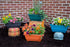 Rectangle Planter Box, 16 Inch Indoor/Outdoor Rectangular Planter, Durable UV Resistant, 2 Gallon Plastic Window Box Trough, Use for Herbs, Succul...
