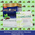 King Cole Chocolate Peppermint Tea, One of a Kind - Black Tea with Chocolate Mint, Dessert Tea, 20 Mint Tea Bags in each Tea Box...