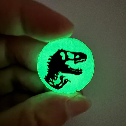 12Pcs Glow in the night dinosaurs shoe charms for Boys Kids shoe Decoration PVC Decoration for Shoes Bracelets Dinosaurs Themed Party Favor...