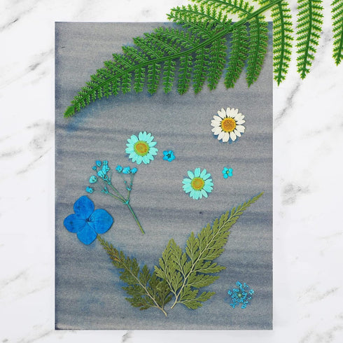32 Sheets Sun Print Paper Cyanotype Paper A4 A5 Solar Drawing Paper Sensitivity Nature Printing Paper for Kids Adults Arts Crafts DIY Project (Whi...