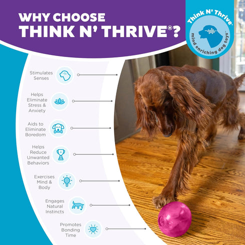 Outward Hound Mazee Puzzle Ball Interactive Treat Dispensing Dog Toy, Pink...