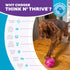 Outward Hound Mazee Puzzle Ball Interactive Treat Dispensing Dog Toy, Pink...