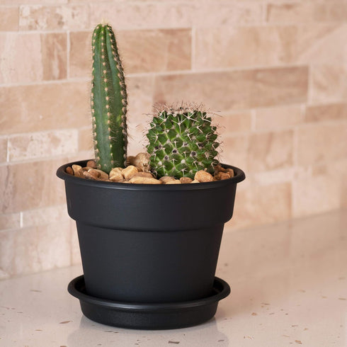 Bloem DC8-00 Dura Cotta Planter, 8", Black...