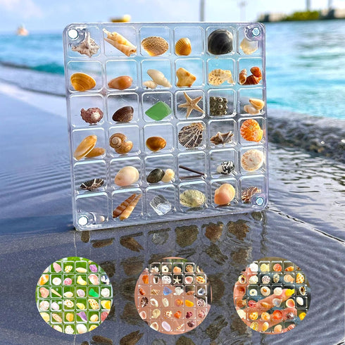 Acrylic Magnetic Seashell Display Box 36 Grids Seashell Storage Box Display Case Decorative Seashell Starfish Trinket, Small Craft Organizers Cont...