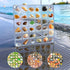 Acrylic Magnetic Seashell Display Box 36 Grids Seashell Storage Box Display Case Decorative Seashell Starfish Trinket, Small Craft Organizers Cont...