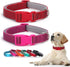 2 Pack Reflective Dog Collars, Classic Adjustable Soft Neoprene Padded Breathable Nylon Pet Collar for Small, Medium and Large Dogs (Red/Pink,M)...