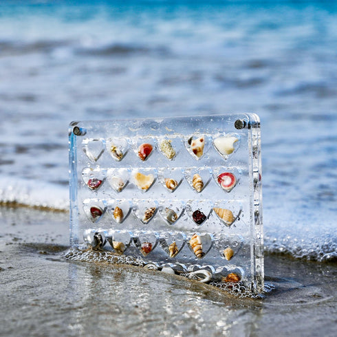 Acrylic Magnetic Seashell Display Box, Clear Small Craft Organizer Box Heart-Shaped Seashell Display Case Seashell Storage Box Container for Bead ...