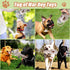 Large Squeaky Dog Toys for Aggressive Chewers,Interactive Tug of War Puppy Toys with Pull Rope,Tough Plush Pet Dog Chew Toys for Small, Medium and...