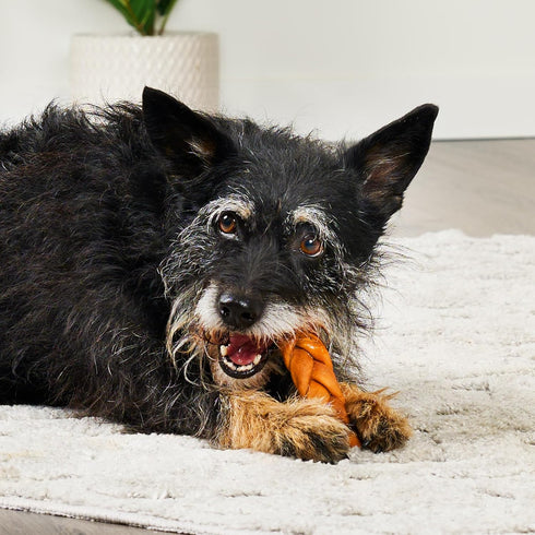 USA Collagen Braids Assorted Dog Chew Treats - Chicken Marinade Flavor, 10oz/1 Pack...