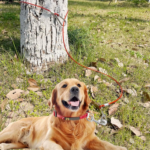 Chew Proof Dog Leash,5Ft Tie Out Cable with Detachable Short Dog Leashes Handle,Non Chew Cable Braided Cord Steel Training Dog Leash for Teething ...